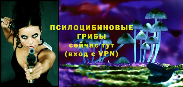 мдпв Вязьма