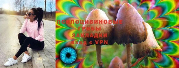не бодяженный Володарск