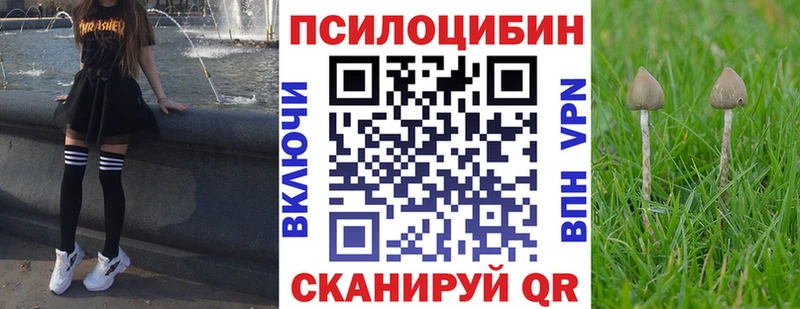 Псилоцибиновые грибы прущие грибы  Купить где  Суджа 